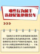 <b>哪些行为属于违规配备使用公车</b>